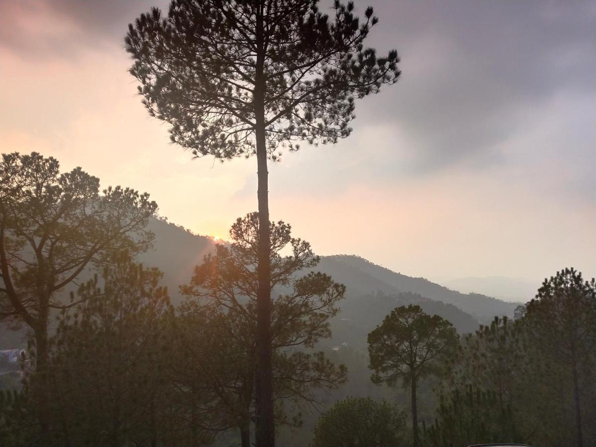 Pine Villa Касаули Экстерьер фото